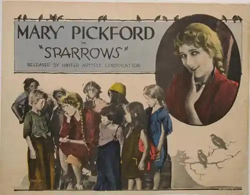 Sparrows scene