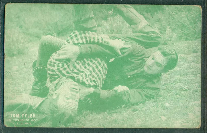 Wild to Go scene