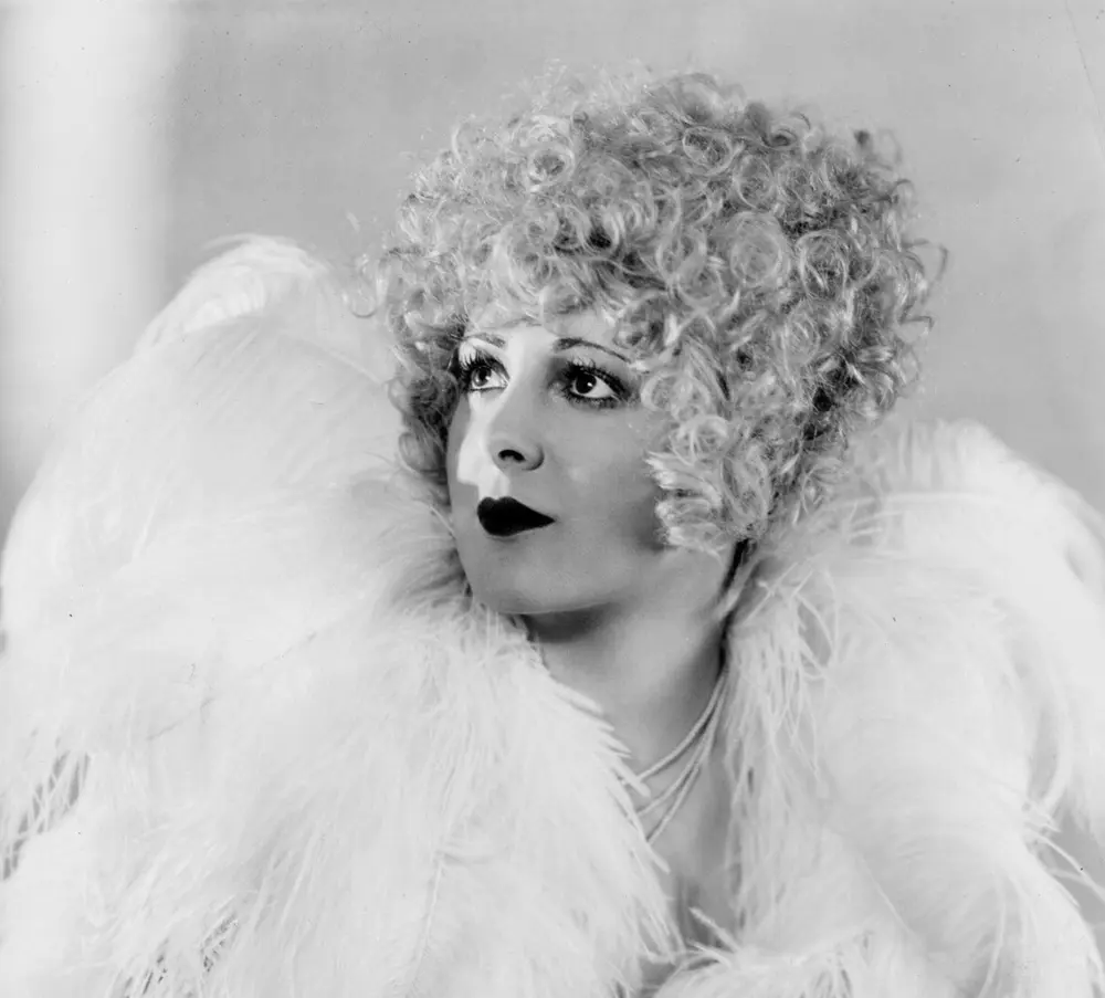 An Affair of the Follies photo