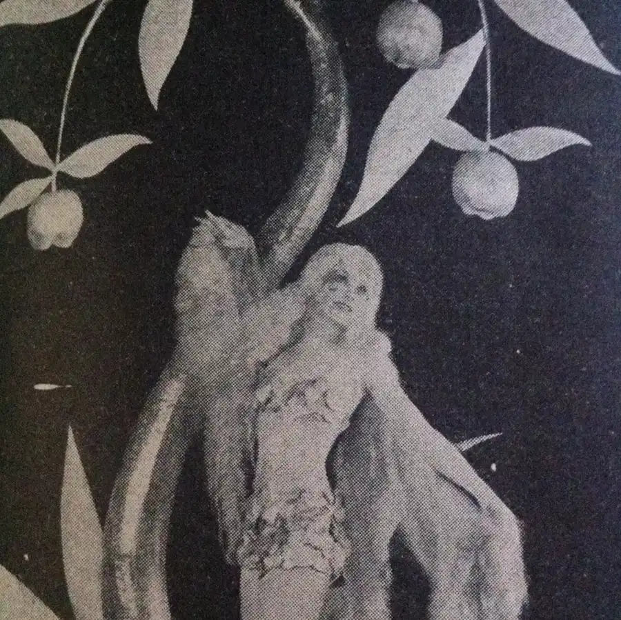The Angel of Broadway photo