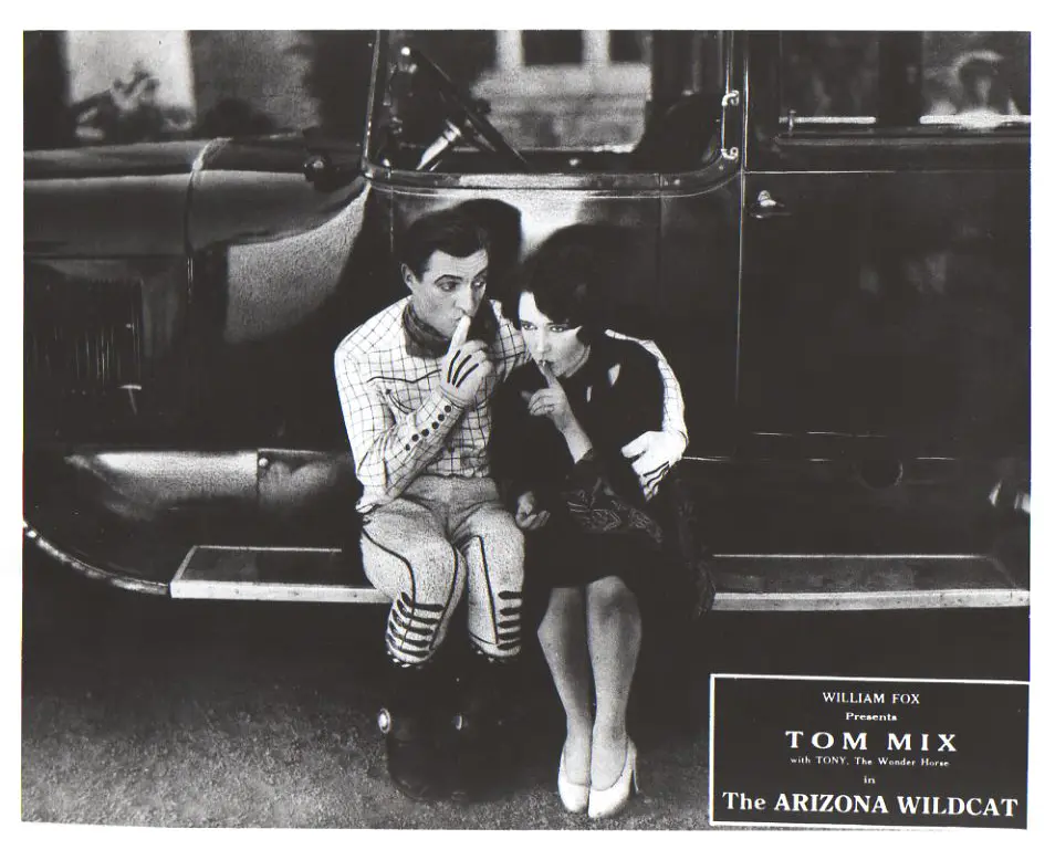 The Arizona Wildcat scene