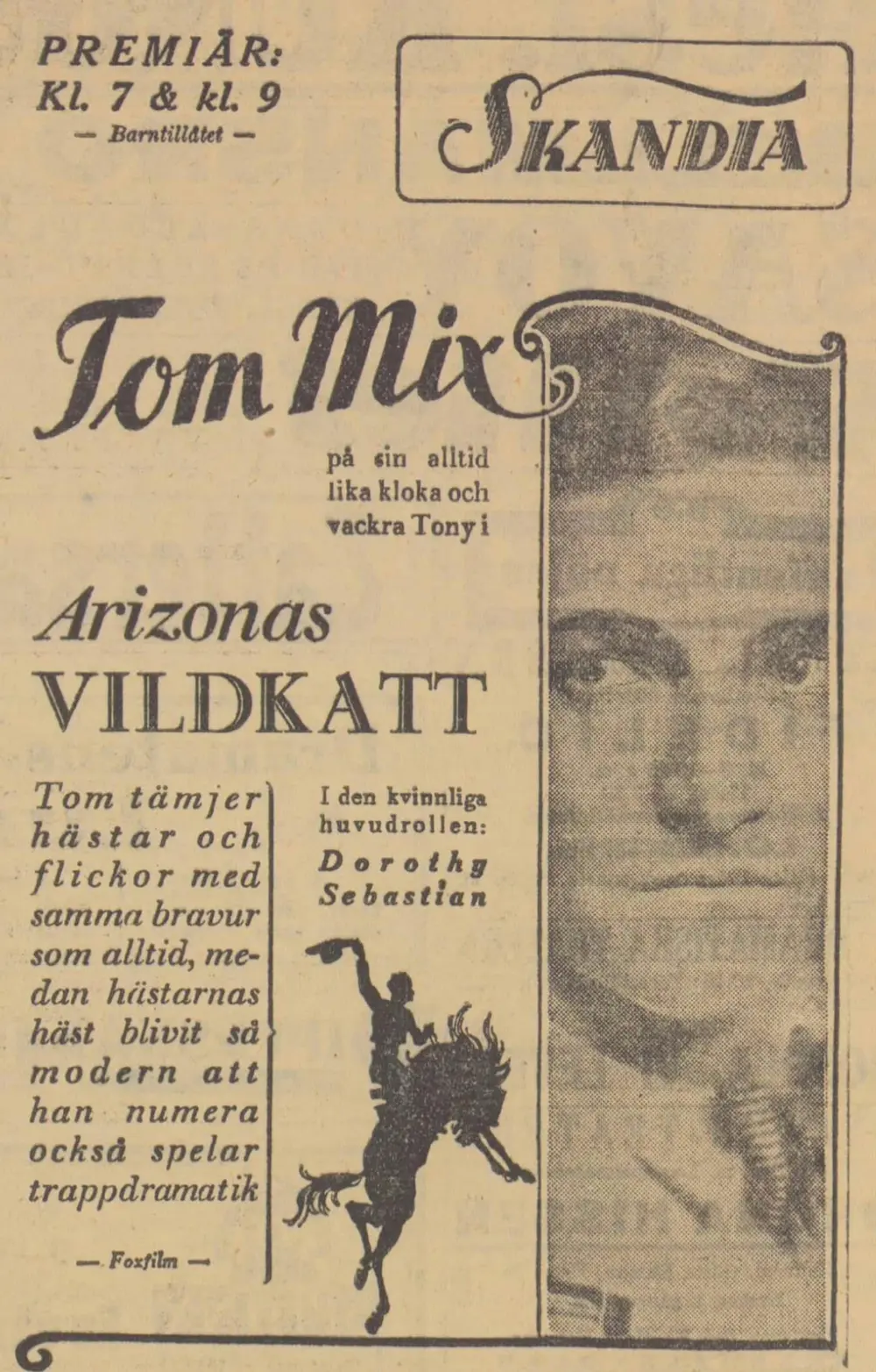 The Arizona Wildcat scene