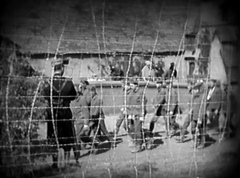 Barbed Wire photo