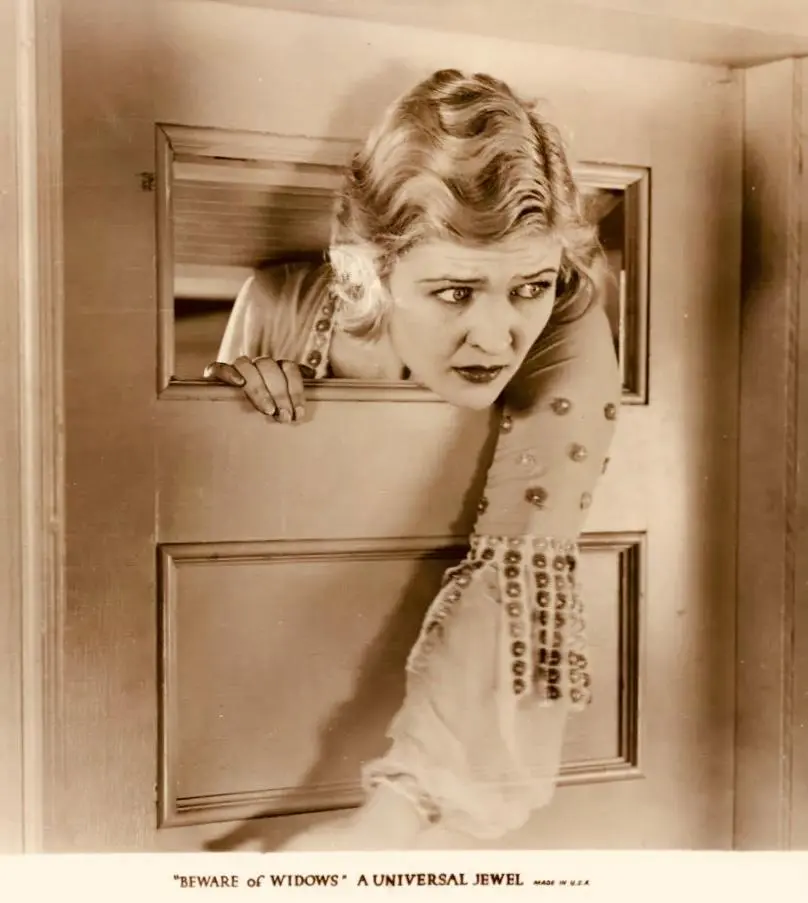Beware of Widows photo