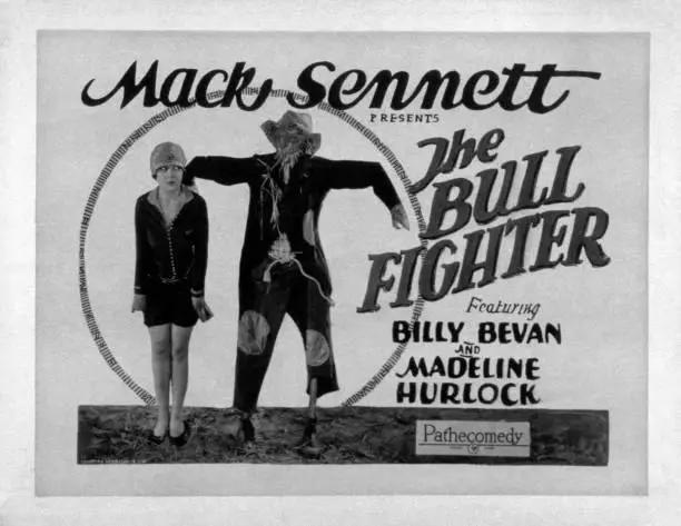 The Bull Fighter