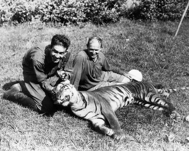 Chang: A Drama of the Wilderness scene
