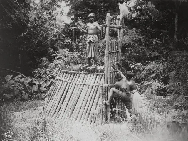 Chang: A Drama of the Wilderness photo