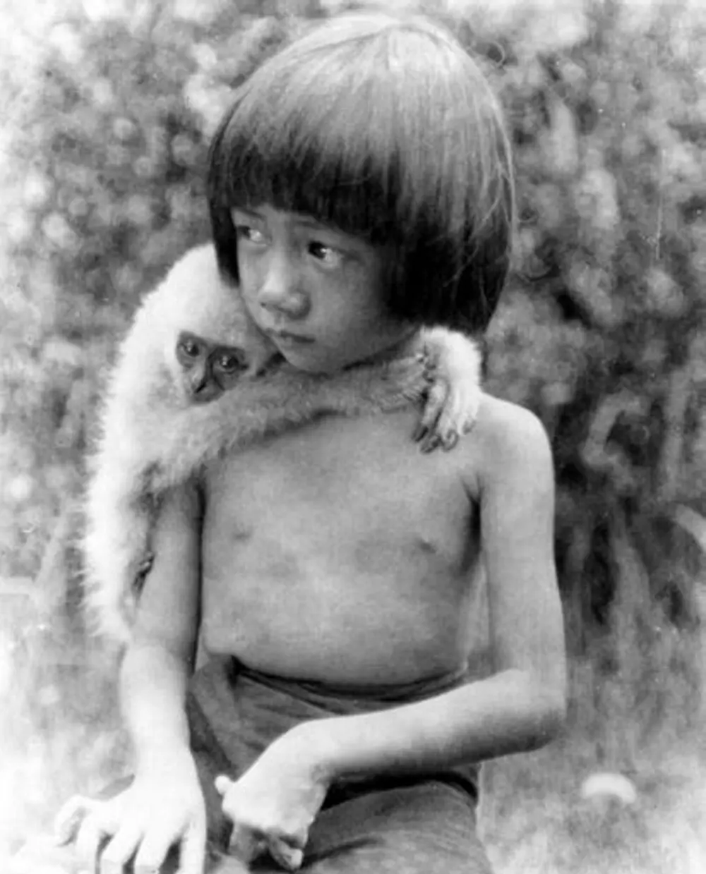 Chang: A Drama of the Wilderness photo
