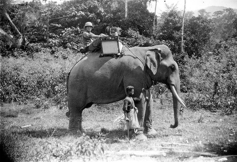 Chang: A Drama of the Wilderness photo
