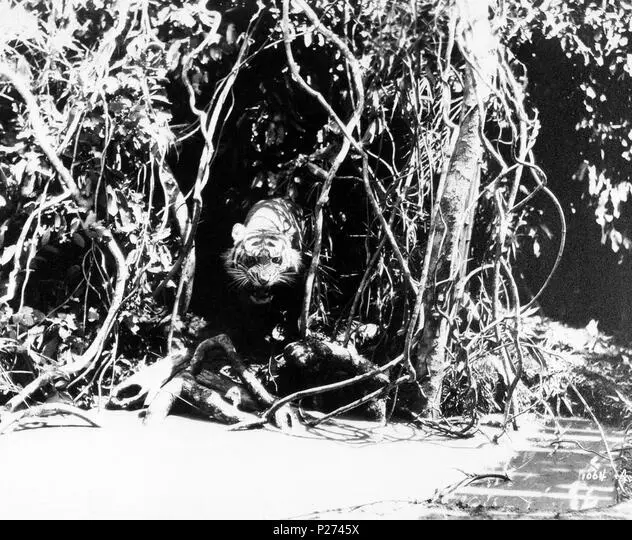 Chang: A Drama of the Wilderness photo