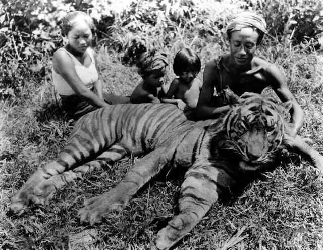 Chang: A Drama of the Wilderness photo