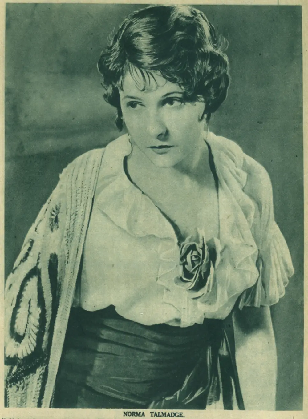 The Dove photo