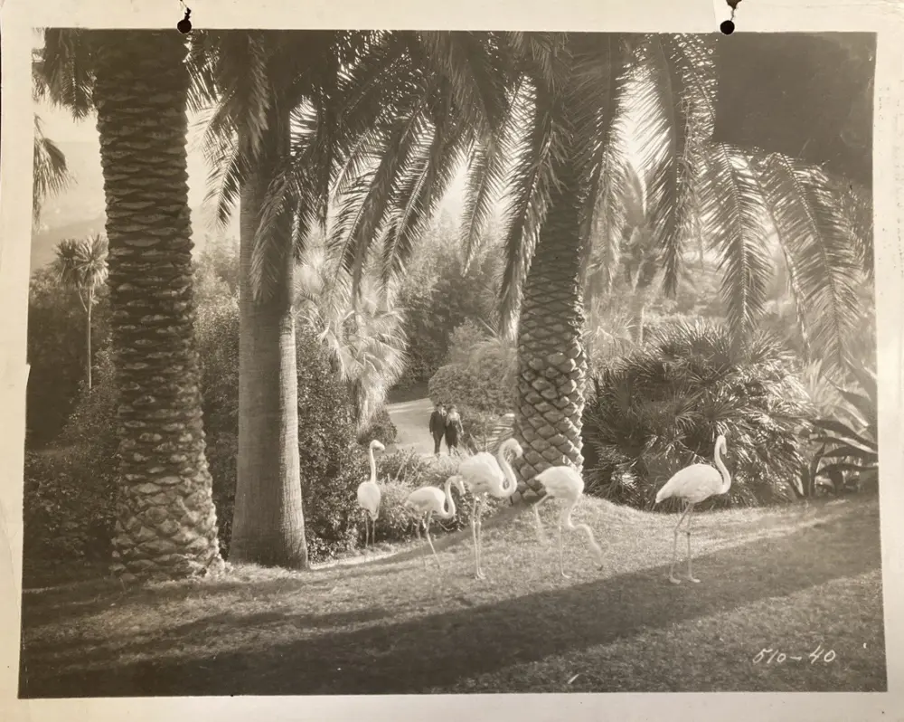 The Garden of Allah photo