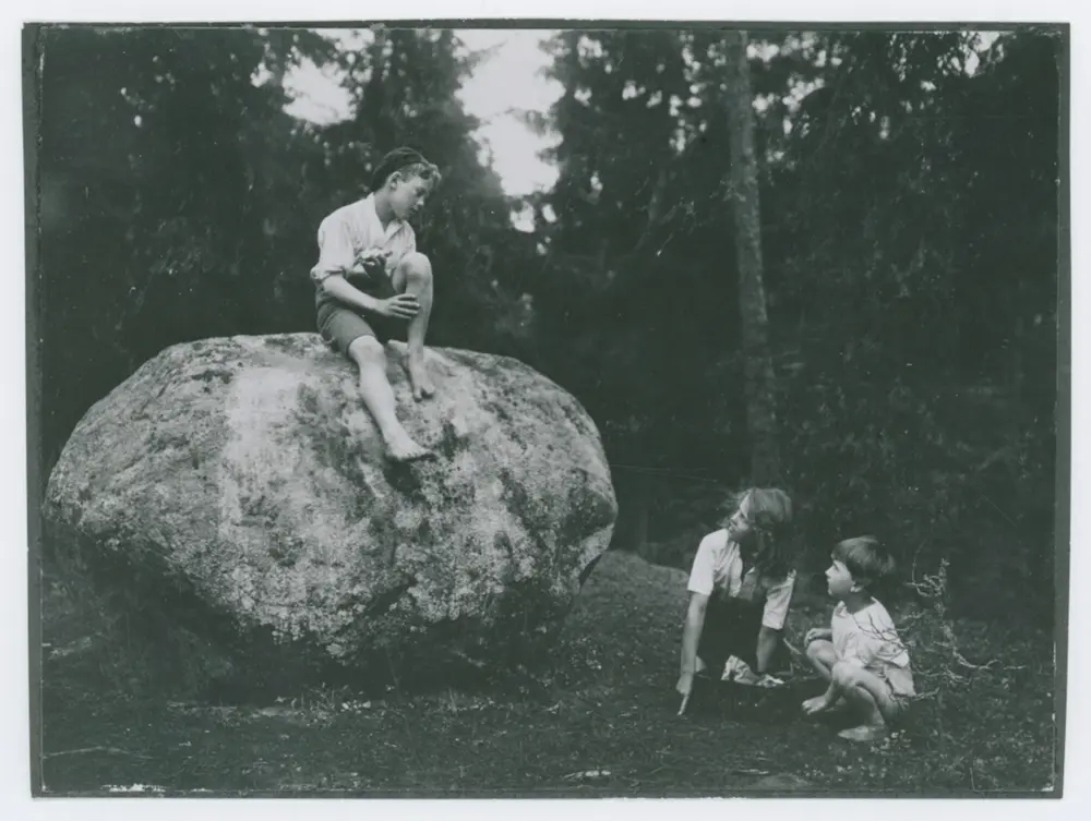 Hin och smålänningen photo