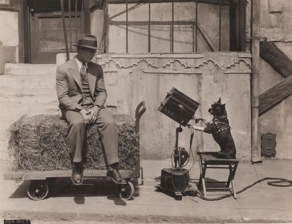 In Old Kentucky photo