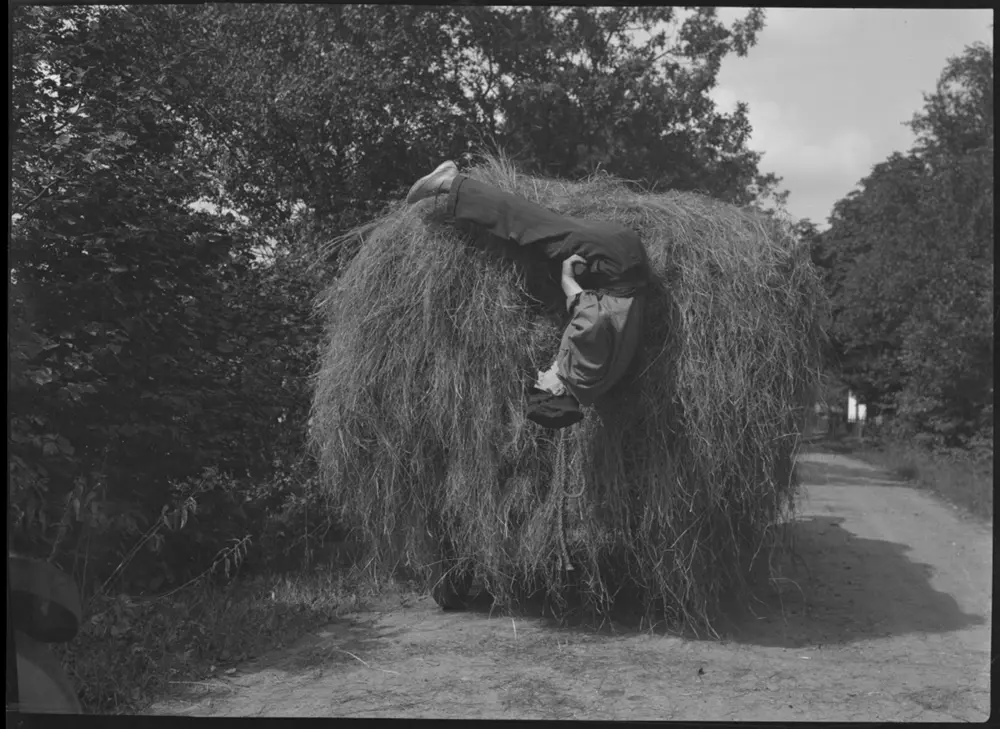 Kvick som Blixten photo