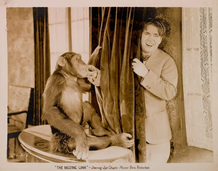 The Missing Link photo