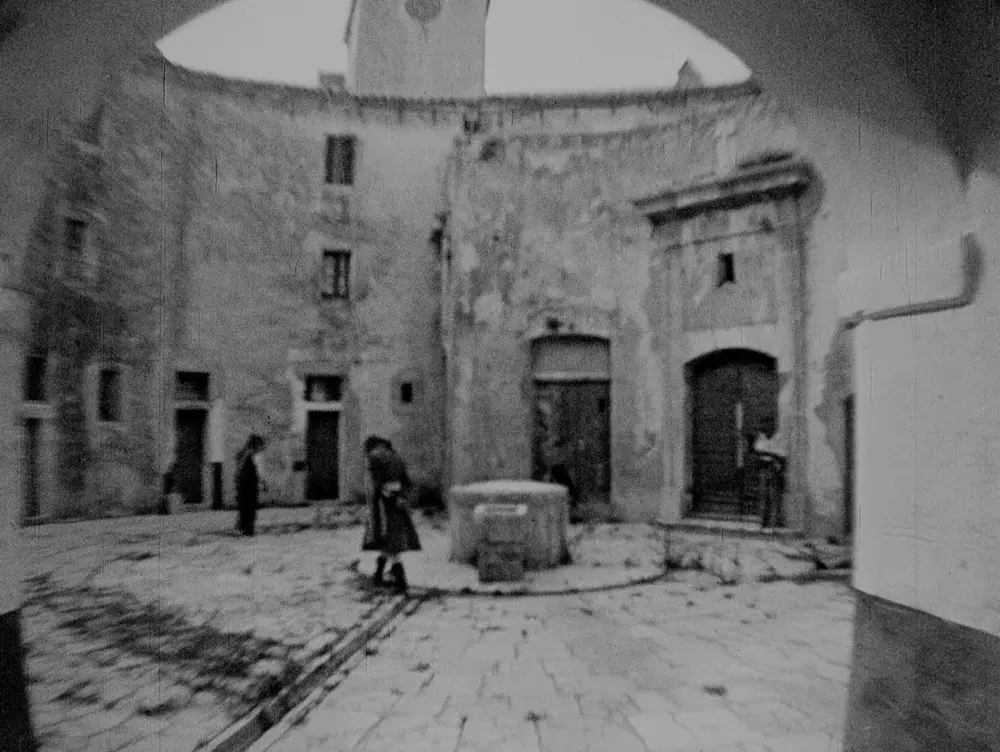 Napoleon photo