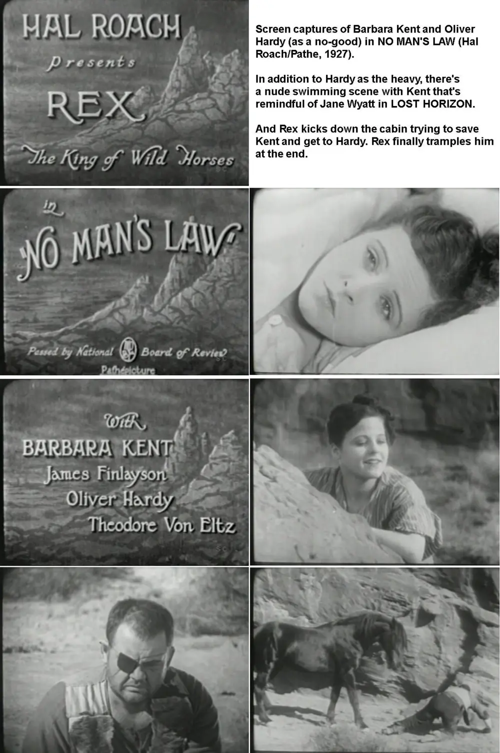 No Man's Law