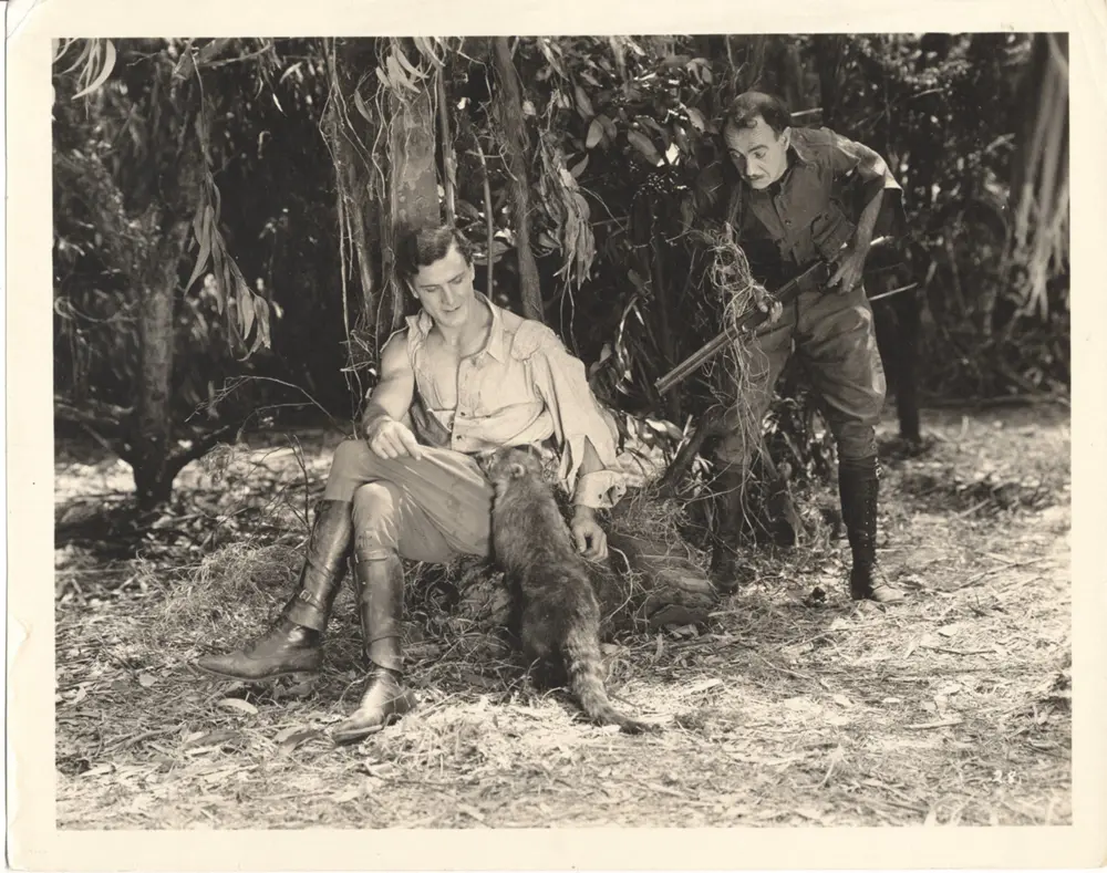 Perils of the Jungle