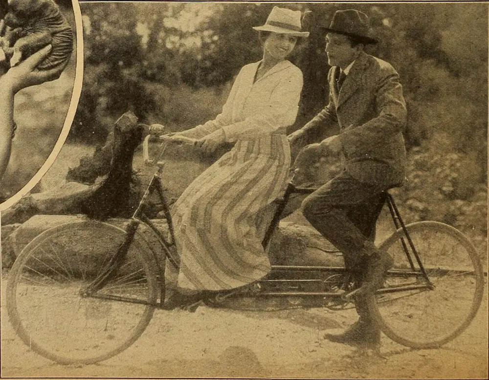The Rough Riders