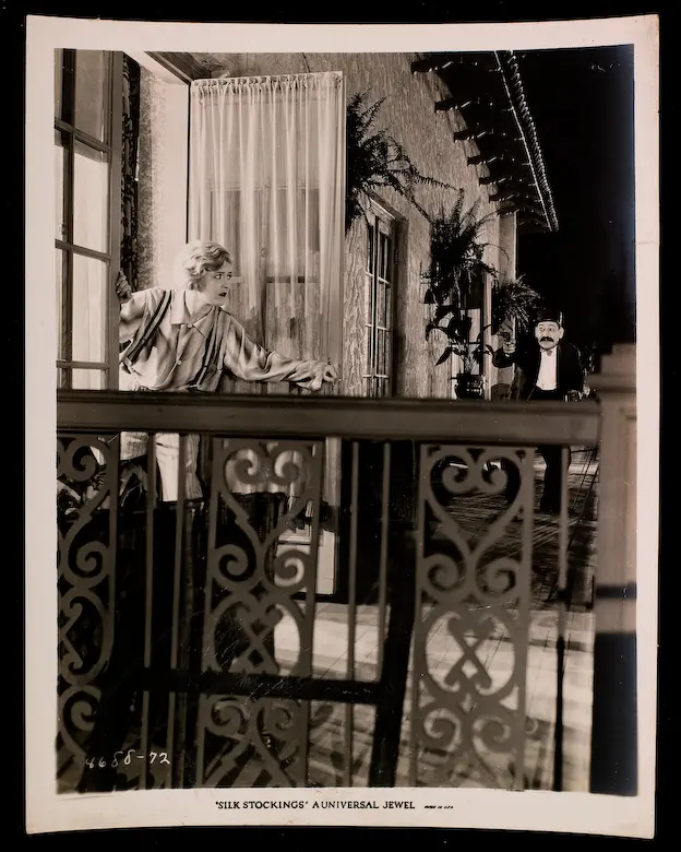 Silk Stockings photo