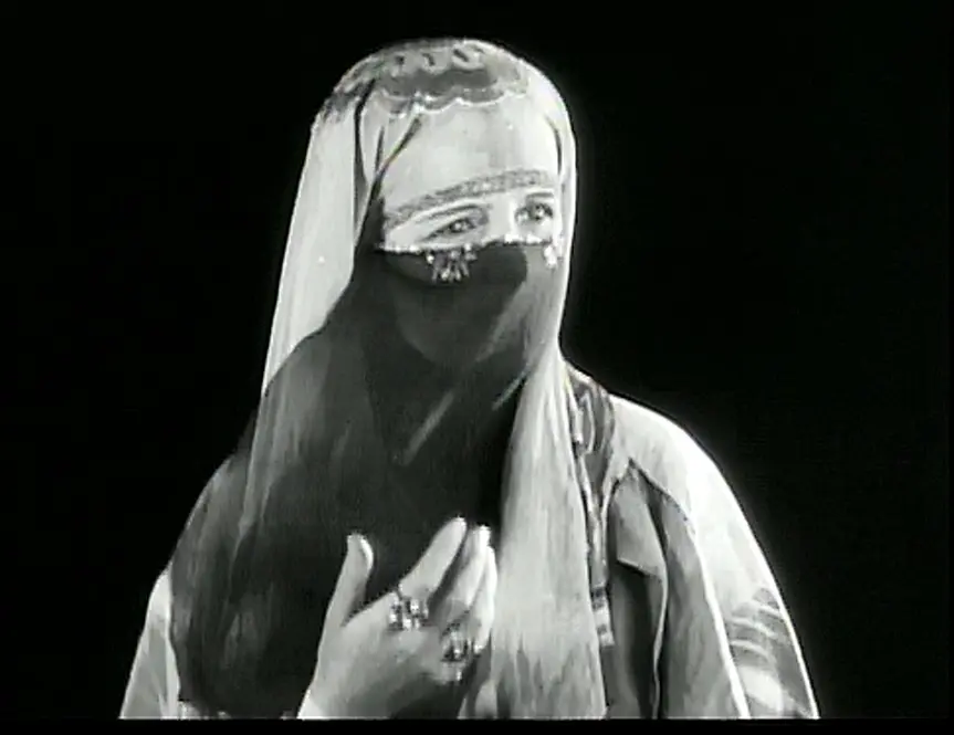 Two Arabian Knights photo