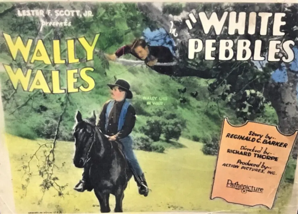 White Pebbles scene