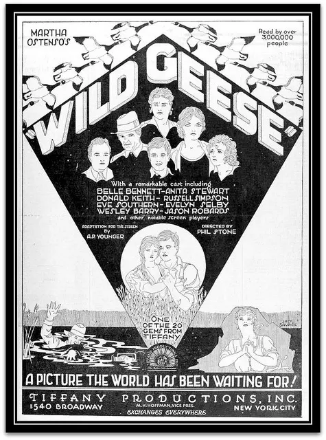 Wild Geese