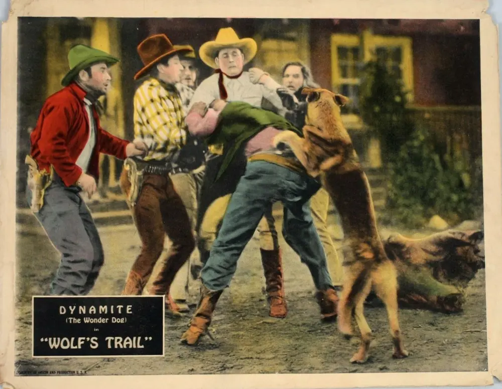Wolf's Trail scene