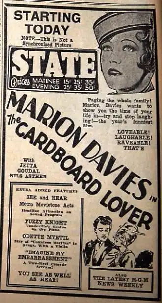 The Cardboard Lover photo
