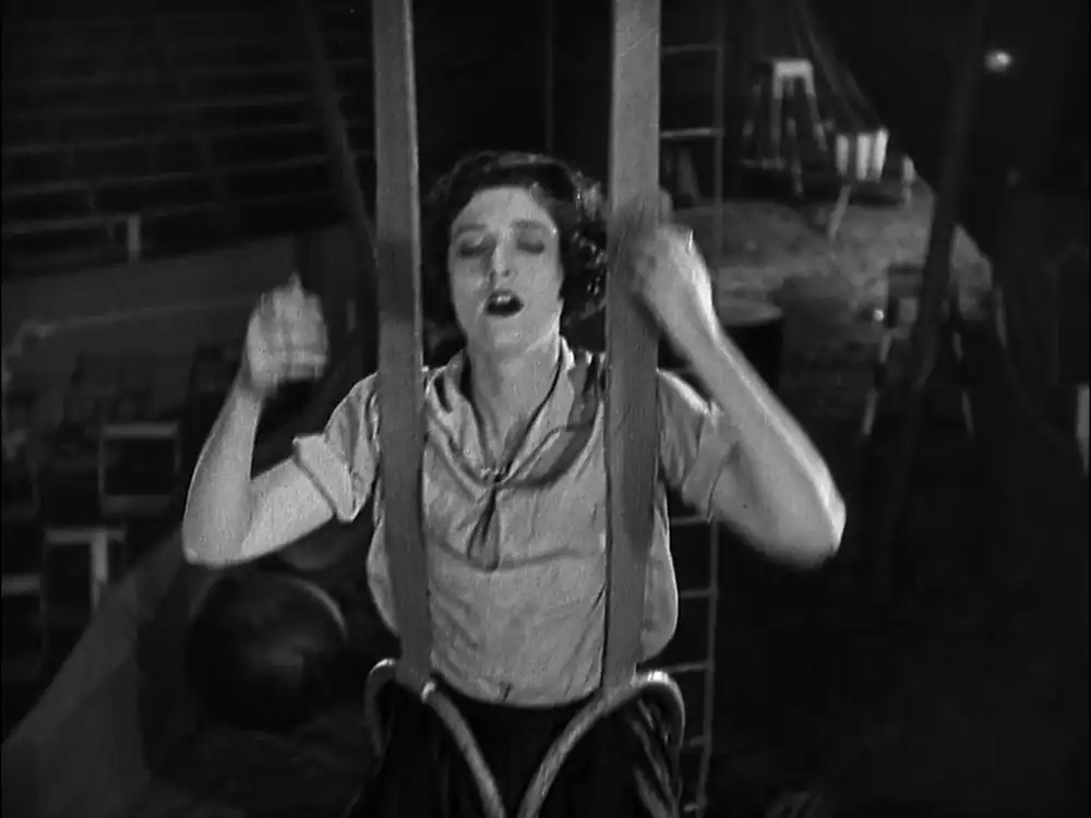 The Circus photo