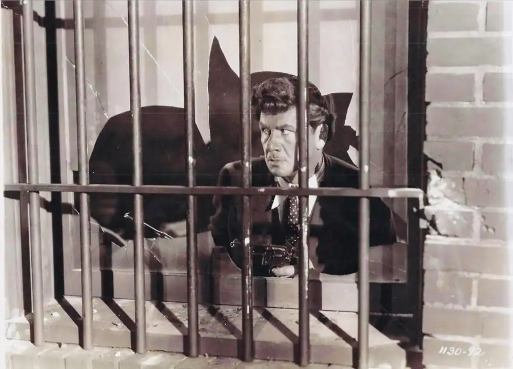 The Dragnet