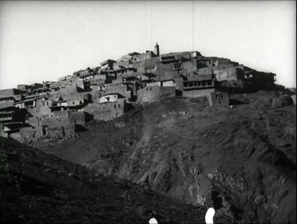 Eliso