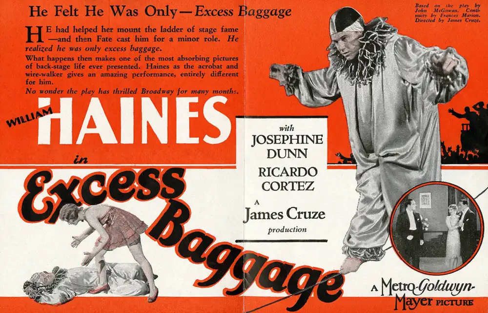 Excess Baggage