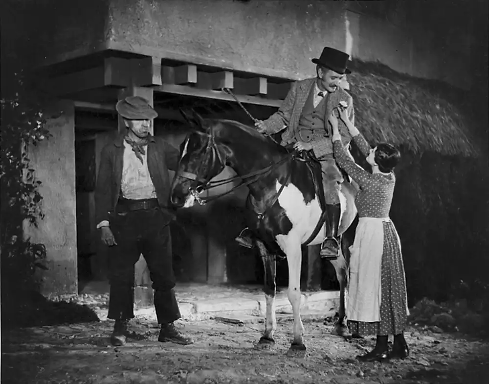The Farmer's Wife