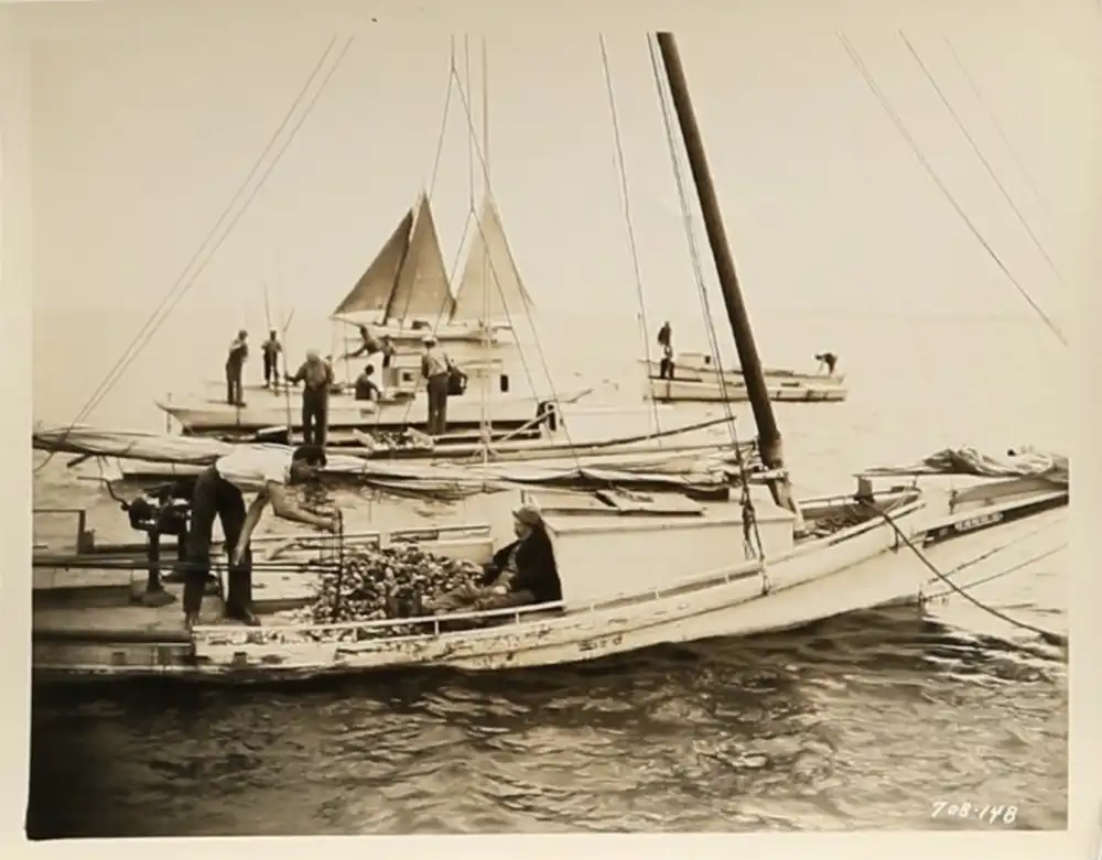 The First Kiss photo