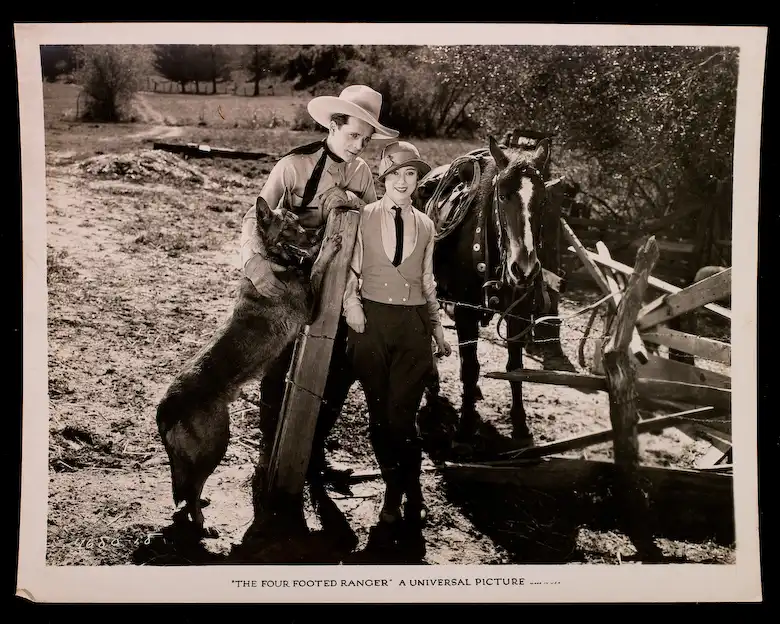The Four-Footed Ranger scene