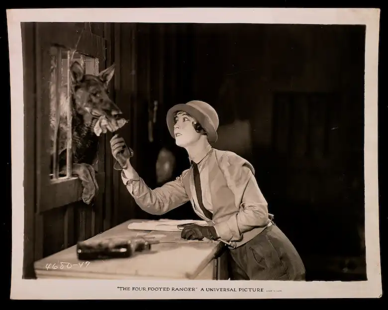 The Four-Footed Ranger scene