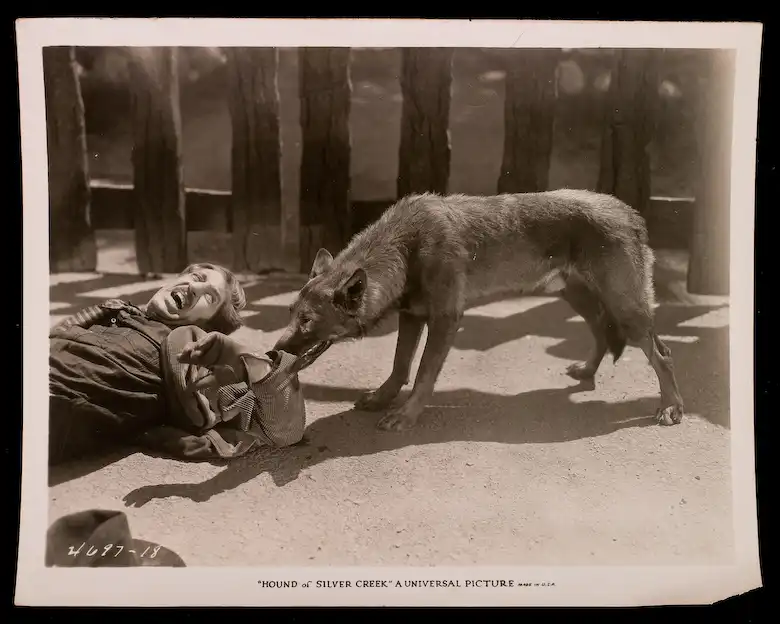 The Hound of Silver Creek photo