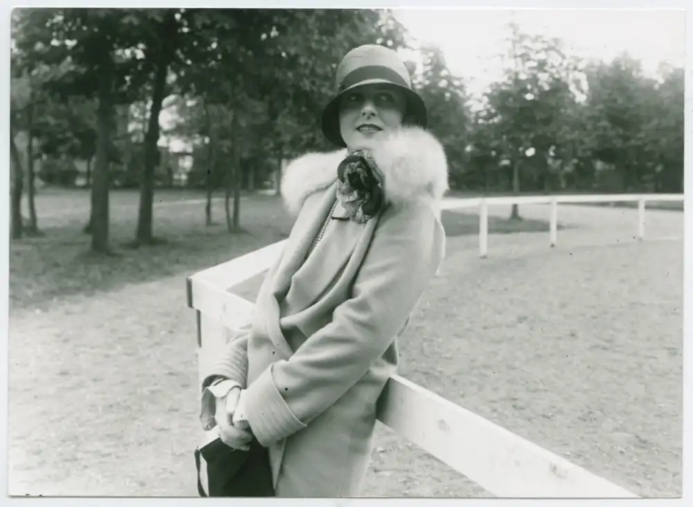 Janssons frestelse photo