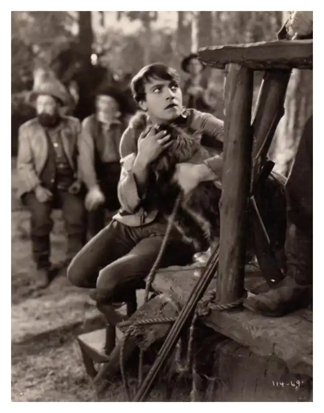 The Little Shepherd of Kingdom Come scene