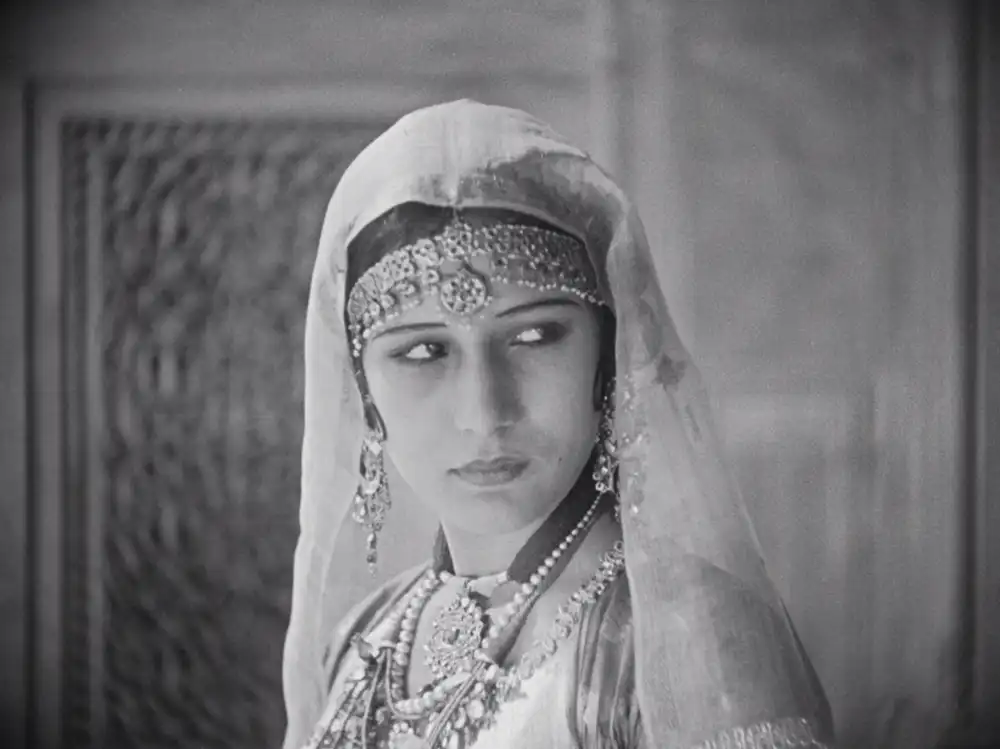Shiraz photo
