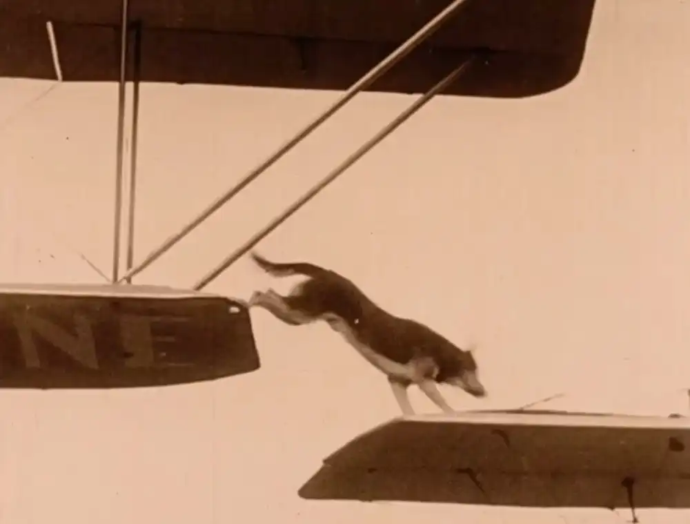 The Sky Rider photo
