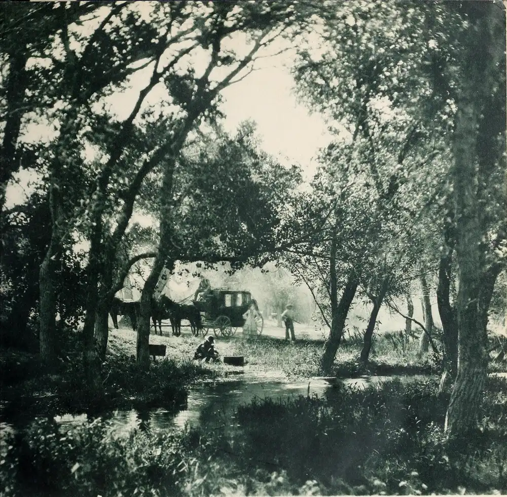Son of the Golden West photo