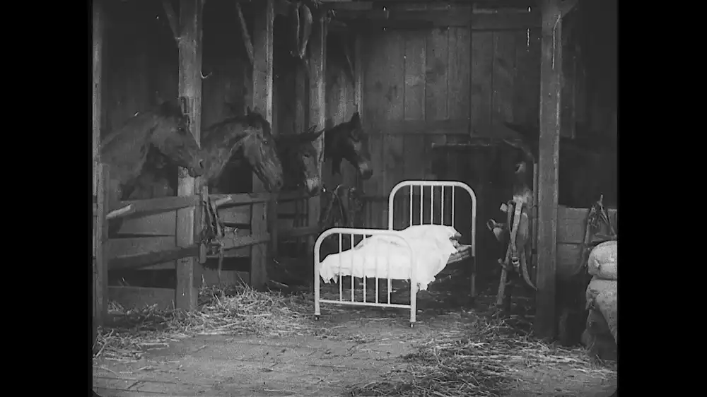 Steamboat Bill, Jr.