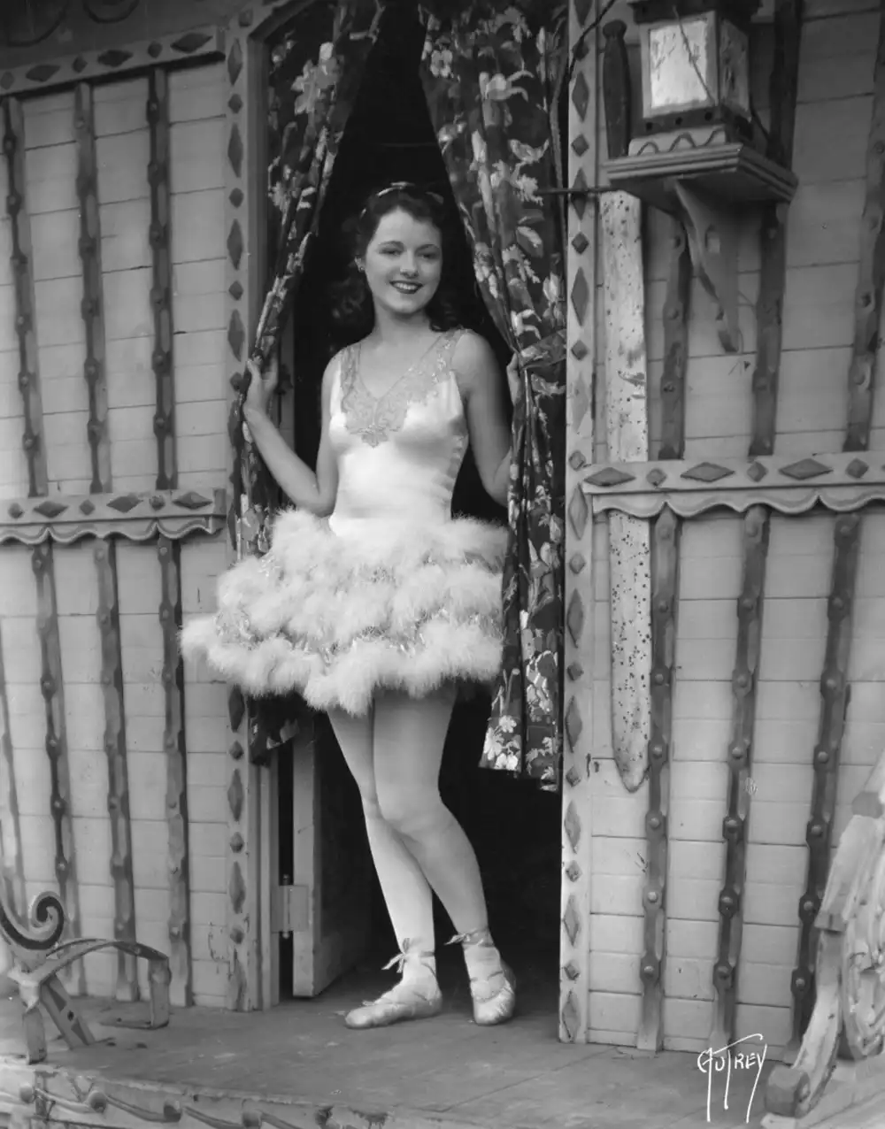 Street Angel photo