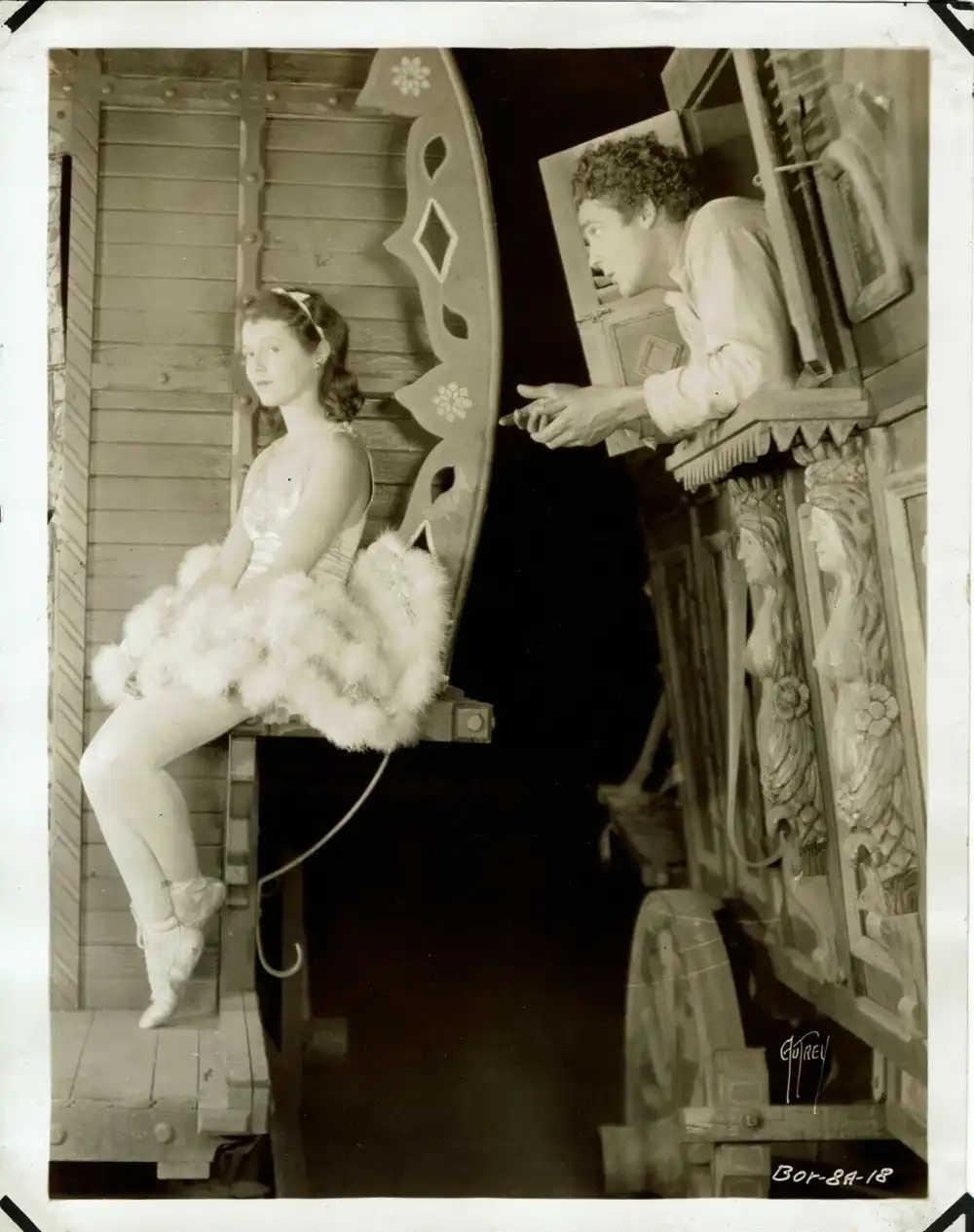 Street Angel photo