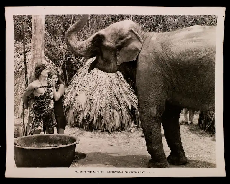 Tarzan the Mighty photo