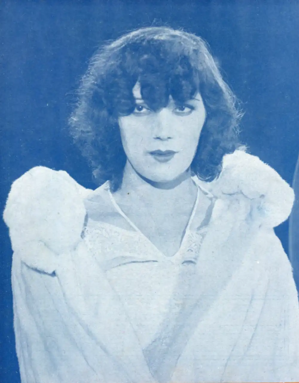 La venenosa photo